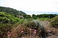 Sardinien2009_0023