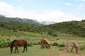 Sardinien2009_0108