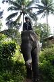 Thailand_2008_0428