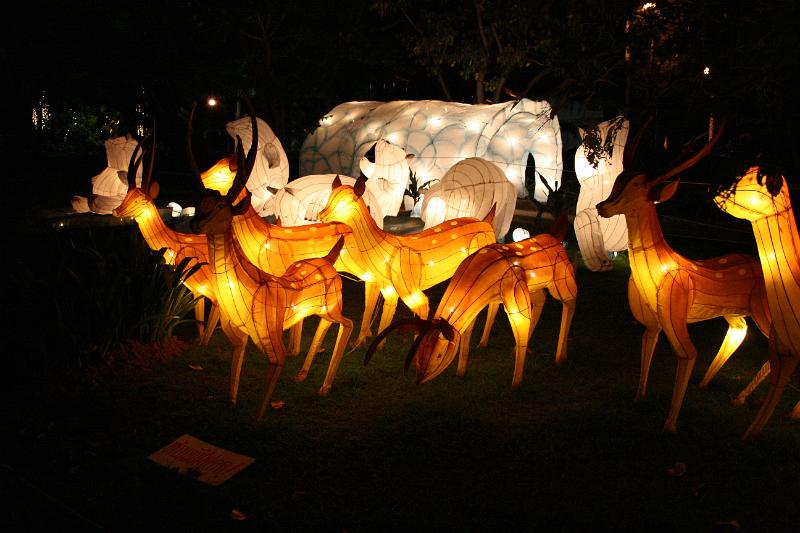 Thailand_2008_0908.JPG - In Phitsanulok fanden wir diesen Park voller lustiger Licht-Skulpturen.